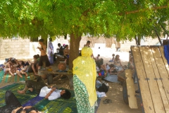 CS_2010_003