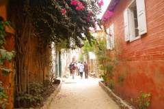 CS_2010_019